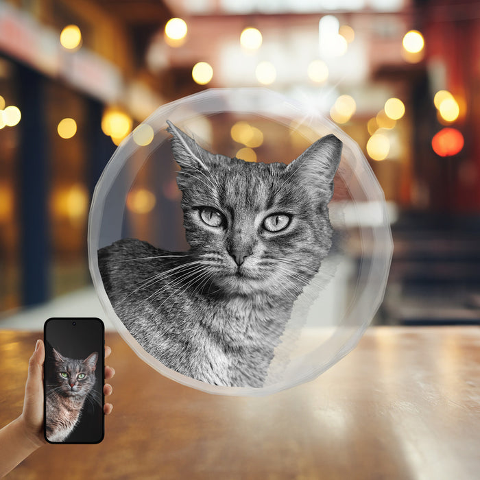 Pets 2D Crystal Ornament