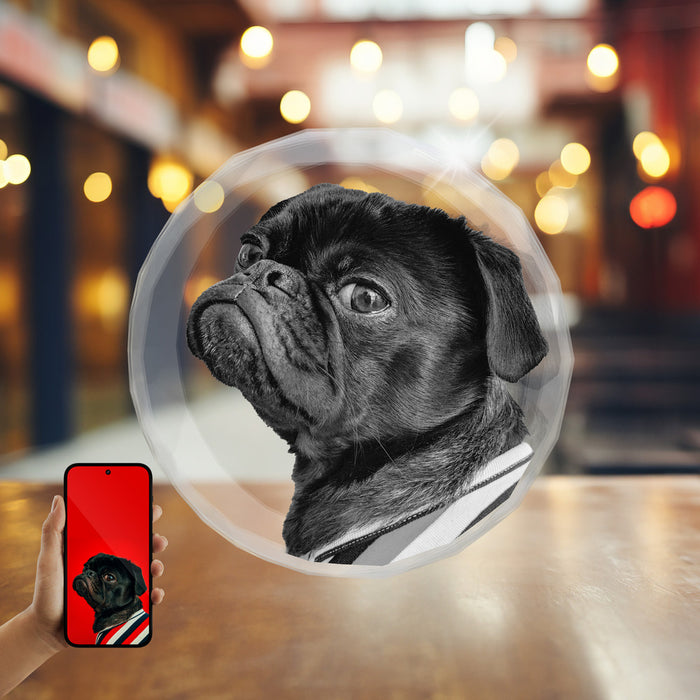 Pets 2D Crystal Ornament