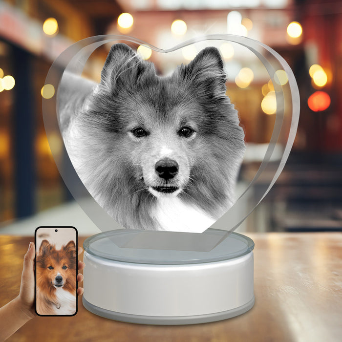 Pets 3D Crystal Heart