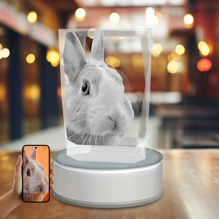 Pets 3D Crystal Paper Weight Cube