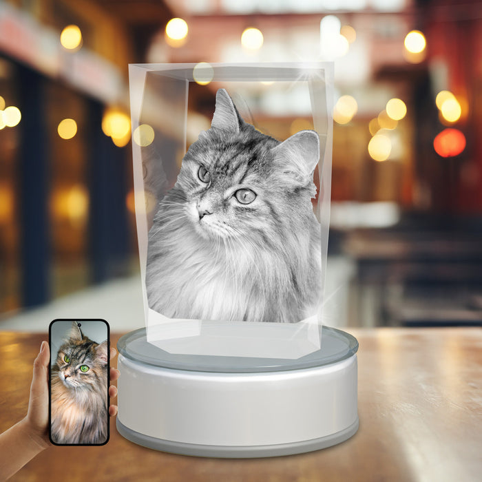 Pets 3D Crystal Paper Weight Cube