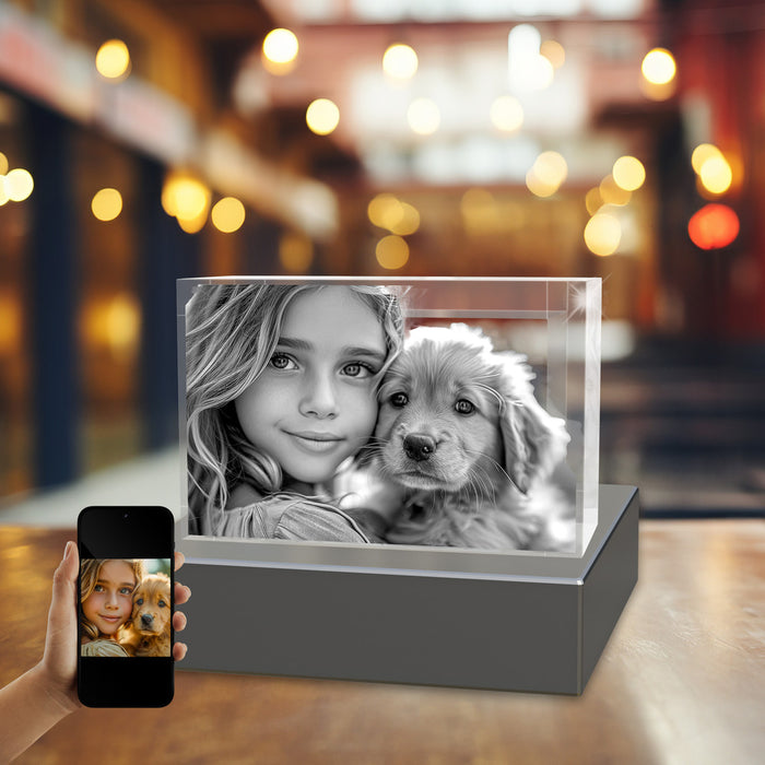 Pets 3D Crystal Rectangle Landscape