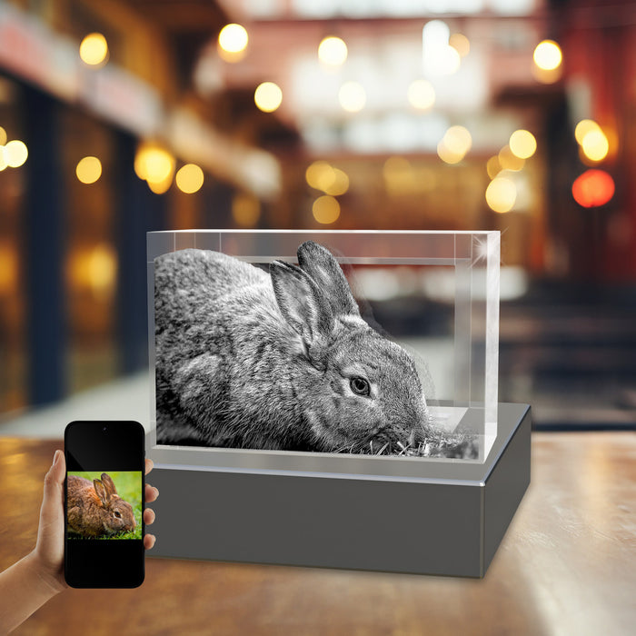 Pets 3D Crystal Rectangle Landscape